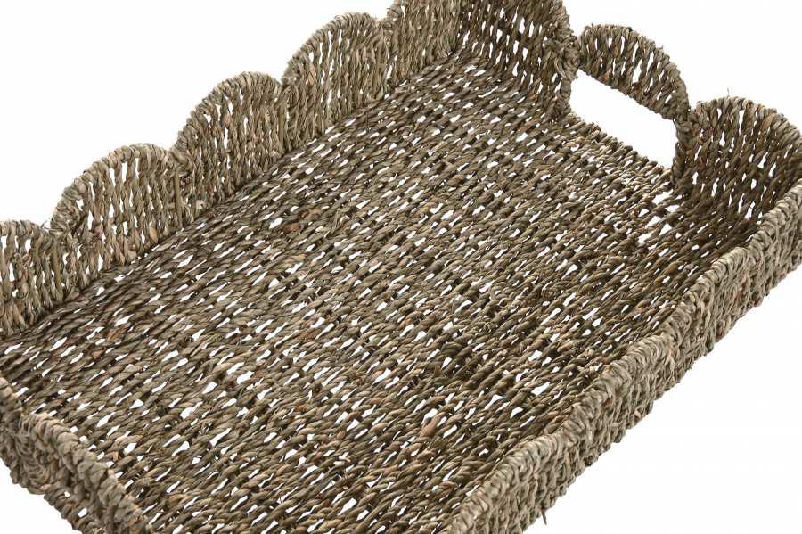 Imagen de WhatsApp 2025-10-31 a las 13.06.18_5c079a48