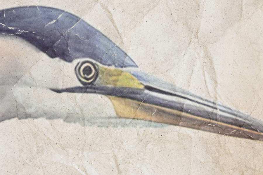 WhatsApp Image 2025-12-17 at 18.06.01 (1)