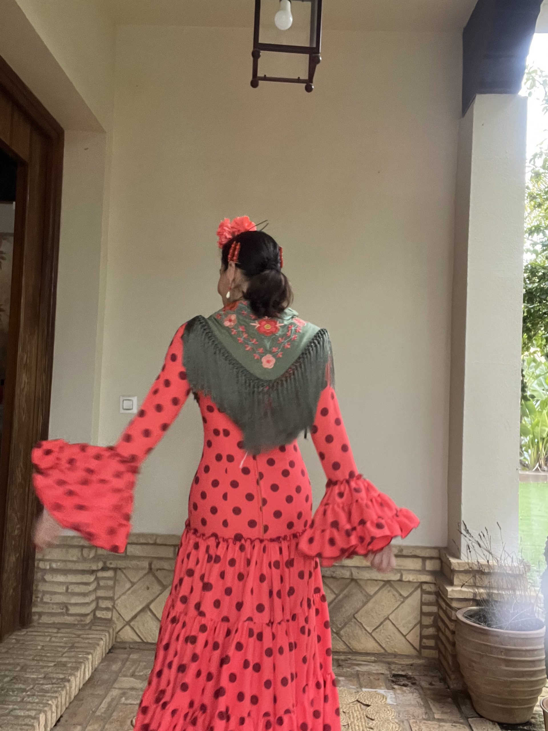 Nueva Colección Feria